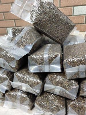 加深型双室食品真空包装机